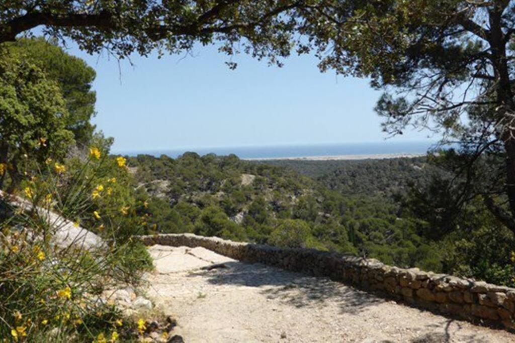Entre Mer Et Garrigue Saint-Pierre-la-Mer  Eksteriør billede