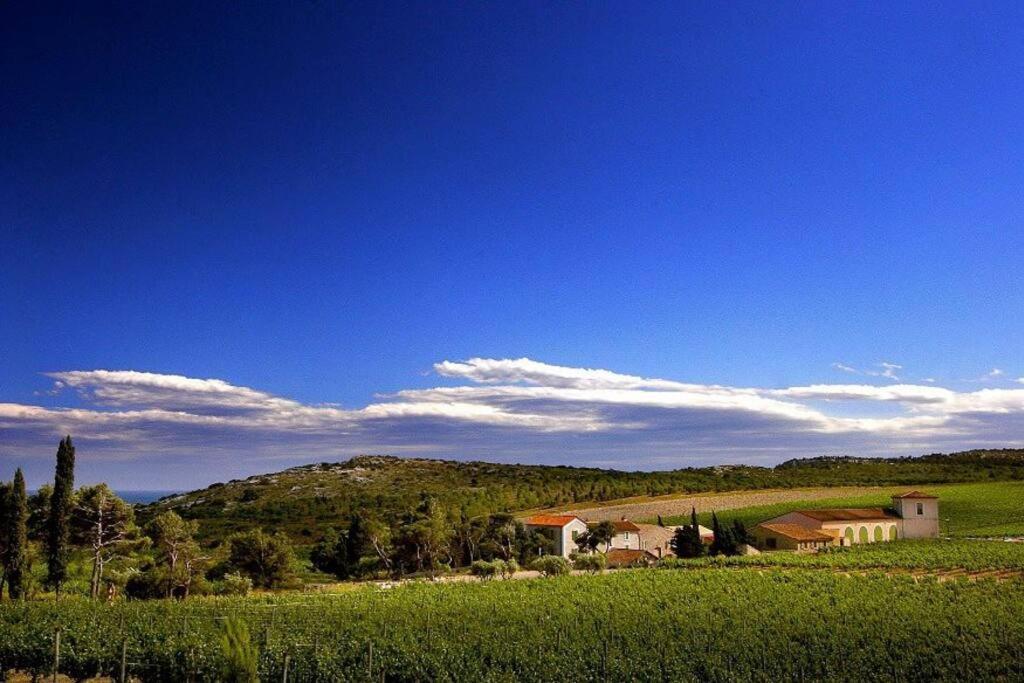 Entre Mer Et Garrigue Saint-Pierre-la-Mer  Eksteriør billede