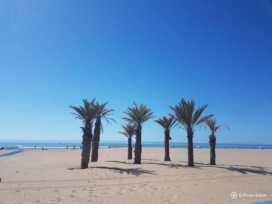 Entre Mer Et Garrigue Saint-Pierre-la-Mer  Eksteriør billede