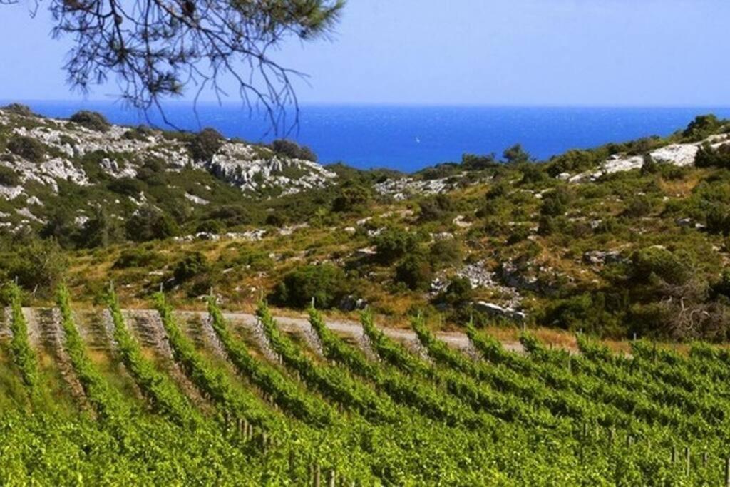 Entre Mer Et Garrigue Saint-Pierre-la-Mer  Eksteriør billede